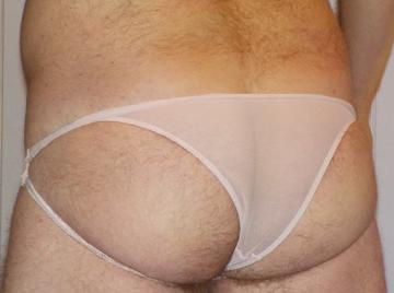 Image thumbnail of Gay bears