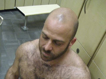 Image thumbnail of Gay bears