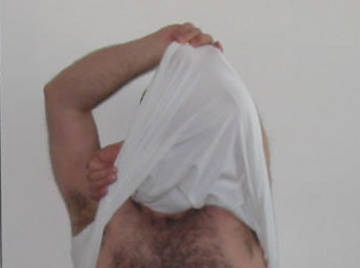 Image thumbnail of Gay bears