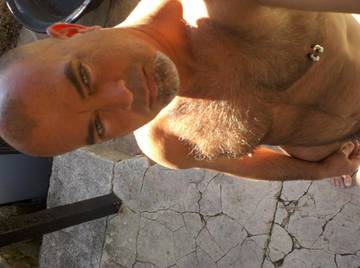 Image thumbnail of Gay bears