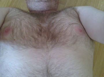 Image thumbnail of Gay bears