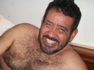 Image thumbnail of Gay bears