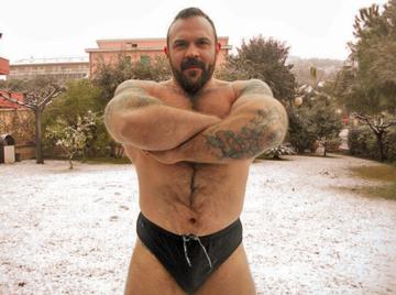 Image thumbnail of Gay bears