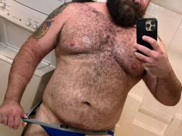 Image thumbnail of Gay bears