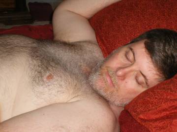 Image thumbnail of Gay bears