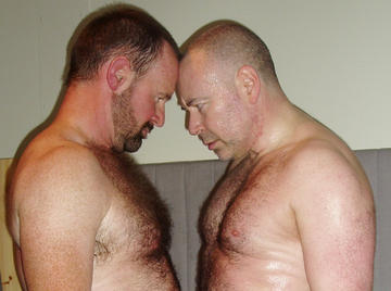 Image thumbnail of Gay bears