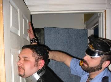 Image thumbnail of Gay bears