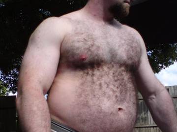 Image thumbnail of Gay bears