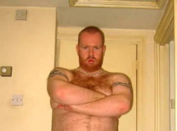 Image thumbnail of Gay bears