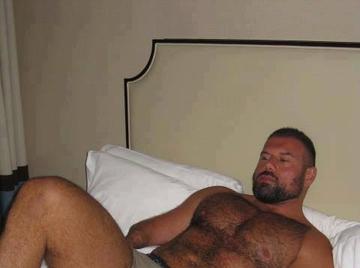 Image thumbnail of Gay bears