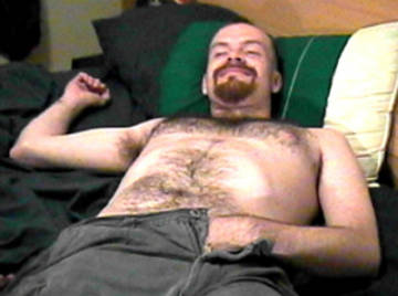 Image thumbnail of Gay bears