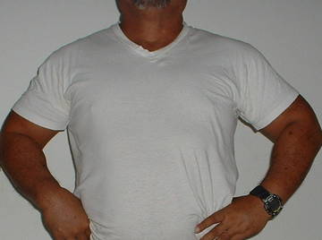 Image thumbnail of Gay bears