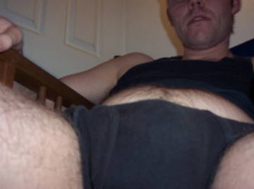 Image thumbnail of Gay bears