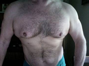 Image thumbnail of Gay bears