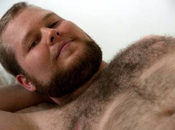 Image thumbnail of Gay bears