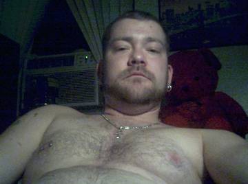 Image thumbnail of Gay bears