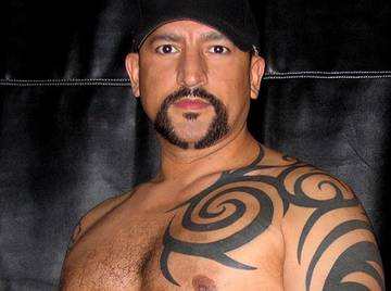 Image thumbnail of Gay bears