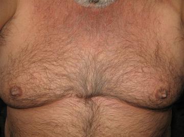 Image thumbnail of Gay bears