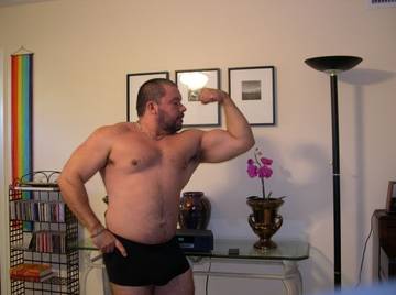 Image thumbnail of Gay bears