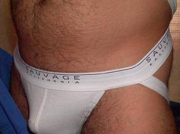 Image thumbnail of Gay bears