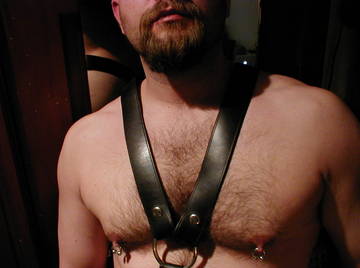 Image thumbnail of Gay bears