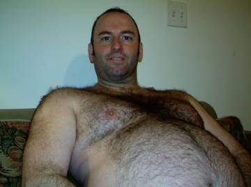 Image thumbnail of Gay bears