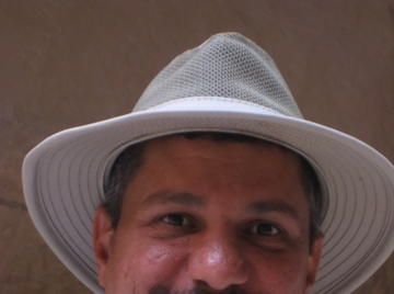 Image thumbnail of Gay bears