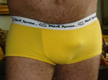 Image thumbnail of Gay bears