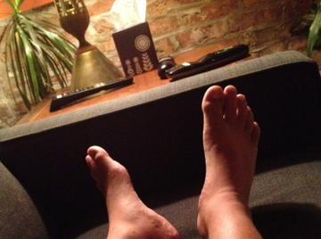 Image thumbnail of Gay bears