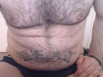 Image thumbnail of Gay bears