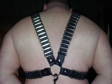 Image thumbnail of Gay bears