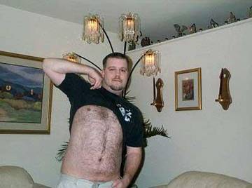 Image thumbnail of Gay bears