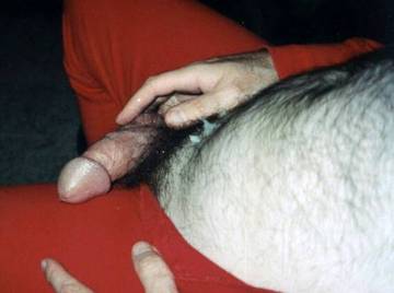 Image thumbnail of Gay bears