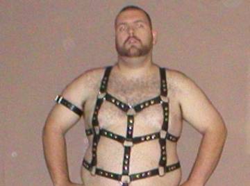 Image thumbnail of Gay bears