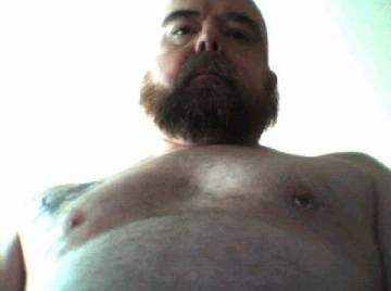 Image thumbnail of Gay bears