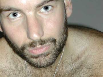 Image thumbnail of Gay bears