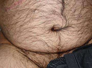 Image thumbnail of Gay bears