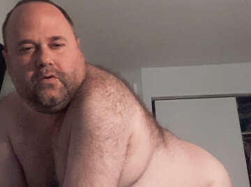 Image thumbnail of Gay bears