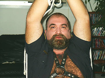 Image thumbnail of Gay bears