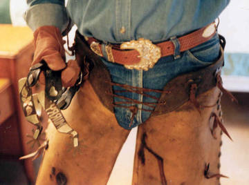 Image thumbnail of Gay bears