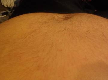 Image thumbnail of Gay bears