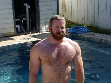 Image thumbnail of Gay bears