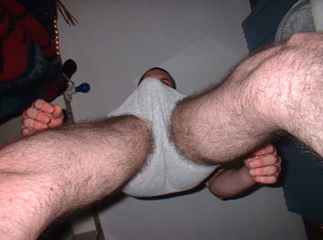 Image thumbnail of Gay bears