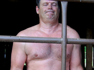 Image thumbnail of Gay bears