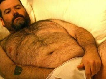 Image thumbnail of Gay bears