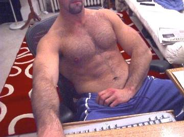 Image thumbnail of Gay bears