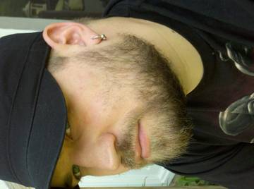 Image thumbnail of Gay bears