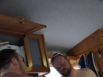 Image thumbnail of Gay bears