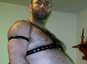 Image thumbnail of Gay bears