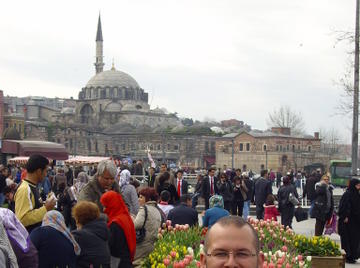 Image thumbnail of Gay bears